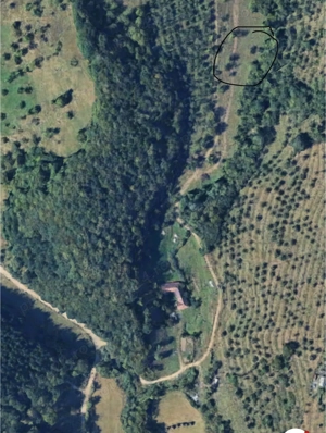 Teren lângă Bistrița , zona Tarpiului , posibilitate investiție 