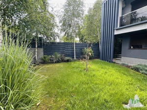 Vila superba, renovata recent, 145 mp construiti, 262 mp de curte amenajata, CHIAJNA - imagine 2