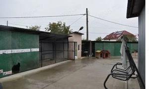 Hala de inchiriat la centura Osorhei - 3 minute de Metro Oradea - imagine 3