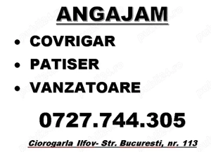 Anagajam Vanzatoare Ciorogarla Ilfov 