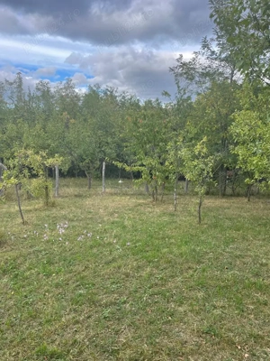 Vând teren la munte  - imagine 2