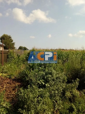 Vanzare Teren Serbanesti, Bacau