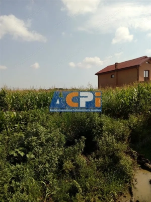 Vanzare Teren Serbanesti, Bacau - imagine 3