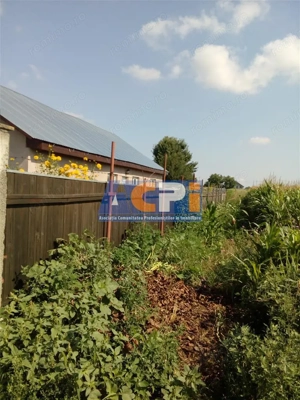 Vanzare Teren Serbanesti, Bacau - imagine 2