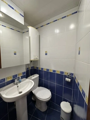 Apartament cu 2 camere in zona Mehala - imagine 10