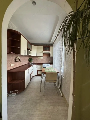 Apartament cu 2 camere in zona Mehala - imagine 7