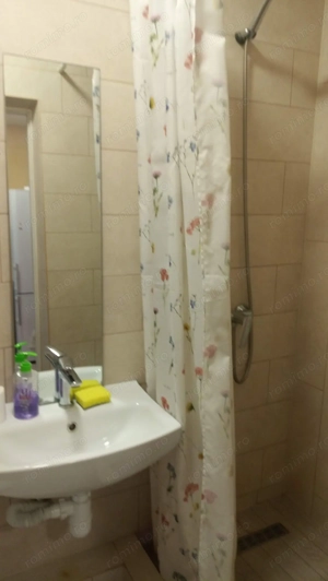 Apartament cu 1 camera in zona Sagului - imagine 2