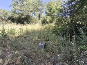 Teren intravilan parcelabil – 1.500 mp zona Facliei - imagine 3