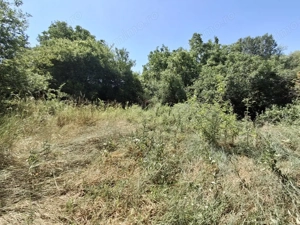 Teren intravilan parcelabil – 1.500 mp zona Facliei - imagine 2