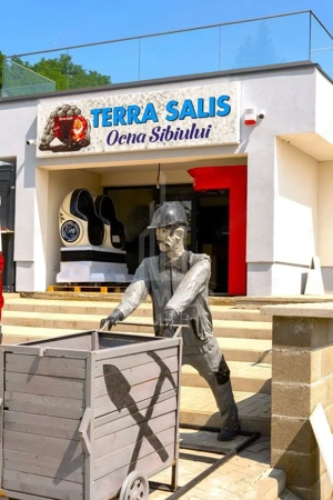 Afacere Profitabilă de Vânzare–Salină Artificială Funcțională în Ocna Sibiului - imagine 15