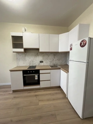 Apartament cu 1 camera in zona Crisan - imagine 4