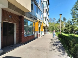 Spațiu comercial de închiriat – 98 mp-Craiovei - imagine 2