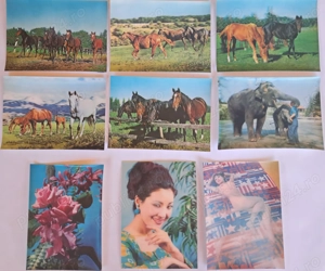 Vederi 3d (tridimensional)