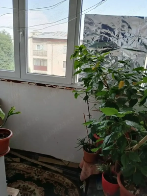 Apartament 2 camere, Alexandria, Teleorman - imagine 6