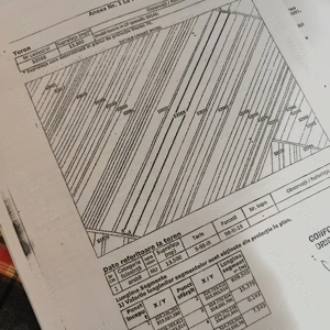 Teren agricol 13500 mp Rogova - imagine 3 Teren agricol 13500 mp Rogova - imagine 3