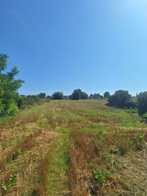 Vând teren sat Stefan cel mare