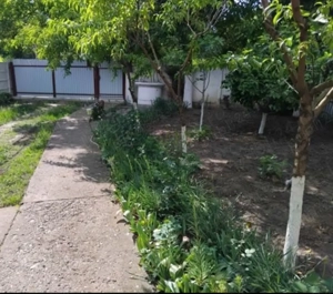 Vănd casa ,  livada, pășune, iaz, Munteni la 7km de Tecuci jud Galati - imagine 6