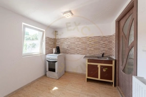 Casa cu acces rapid din Bld. Nicolae Balcescu – Uiasca, str. Micsunele - imagine 17