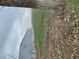 Vanzare teren Moara Domnească  - imagine 2 Vanzare teren Moara Domnească  - imagine 2