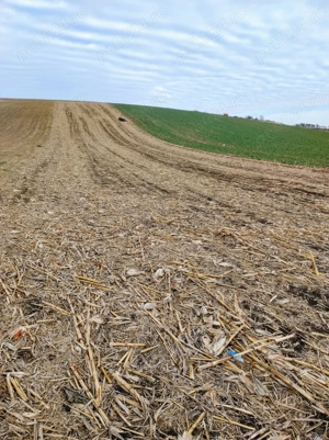 Vând teren 2900 mp în Ighiu