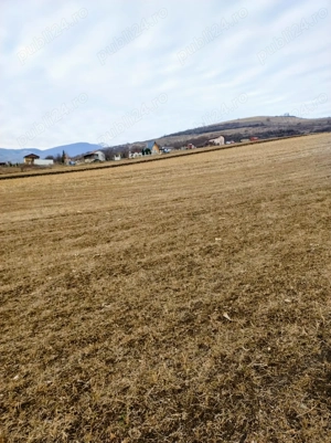 Vând teren 2900 mp în Ighiu  - imagine 2