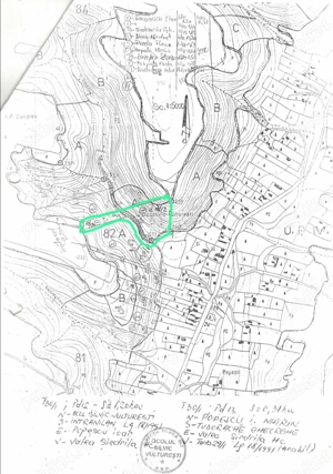 Padure foioase, 1,51 ha, sat Spataru,  com Cungrea,  jud Olt 