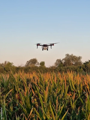 Prestari servicii - Tratamente fitosanitare cu drona agricola - imagine 4