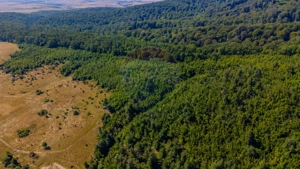 Teren 6,000mp Crizbav / Strada principala - imagine 7