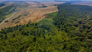 Teren 6,000mp Crizbav / Strada principala - imagine 5