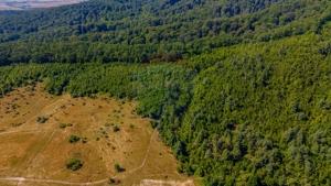 Teren 6,000mp Crizbav / Strada principala - imagine 8