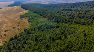 Teren 6,000mp Crizbav / Strada principala - imagine 6