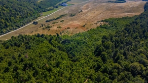 Teren 6,000mp Crizbav / Strada principala - imagine 9