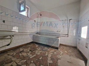 Casa de vanzare Mihail Kogalniceanu teren 524 mp Jud Constanta - imagine 10