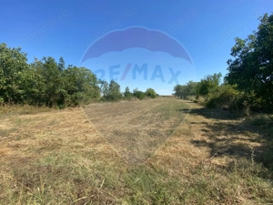 Teren de vanzare, 25km de București, Sinești, loc. Lilieci