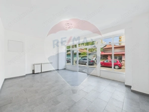 Casa/Vila multifunctionala de vanzare Rahova-Petre Ispirescu