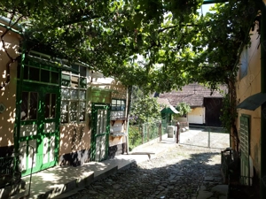 Casa de Vanzare -Gradina 1000mp - imagine 2