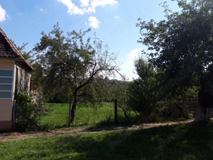 Casa de Vanzare -Gradina 1000mp - imagine 4