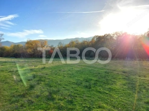 Teren de vanzare 17.000 mp in vecinatatea padurii Dumbrava - imagine 2