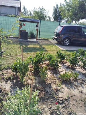 vând teren cu Anexă și utilități  in vinatori Galați  - imagine 4 vând teren cu Anexă și utilități  in vinatori Galați  - imagine 4