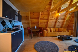 FILM! Ansamblu in circuit hotelier,5.700mp teren,Moieciu,constructie 2025 - imagine 9