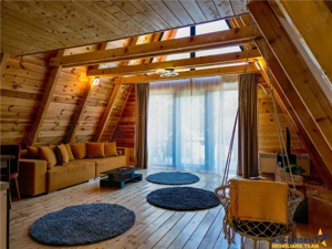 FILM! Ansamblu in circuit hotelier,5.700mp teren,Moieciu,constructie 2025 - imagine 17