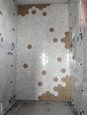 caut colaborare. - imagine 3