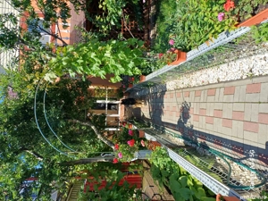 Vila,casa de vanzare - imagine 10