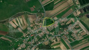 Cabana cu teren intravilan 18.449 mp – Paingeni | 7,5 €/mp | Vedere panoramică - imagine 6