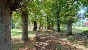 Cabana cu teren intravilan 18.449 mp – Paingeni | 7,5 €/mp | Vedere panoramică