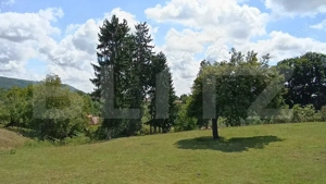 Cabana cu teren intravilan 18.449 mp – Paingeni | 7,5 €/mp | Vedere panoramică - imagine 4