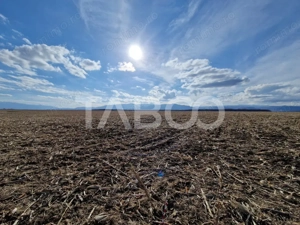 Teren extravilan arabil 5950 mp Selimbar - zona Sopa - imagine 4