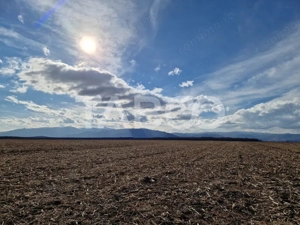 Teren extravilan arabil 5950 mp Selimbar - zona Sopa