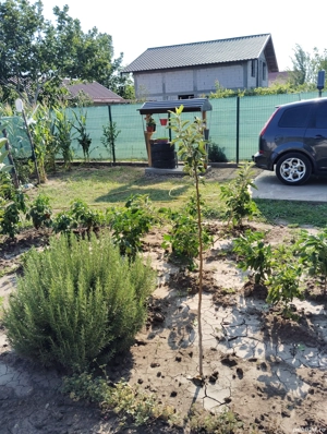 vând teren cu Anexă și utilități  in vinatori Galați  - imagine 3 vând teren cu Anexă și utilități  in vinatori Galați  - imagine 3