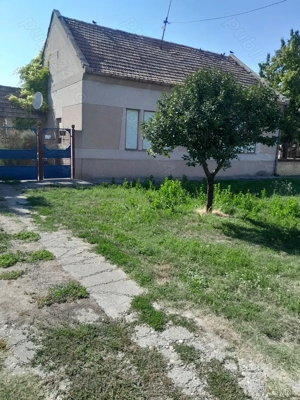 Vind Casa in Serbia 10 km de granița cu Jimbolia  - imagine 2